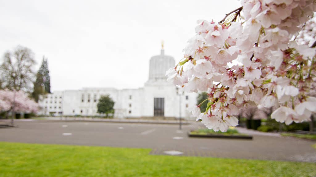 Salem Oregon Bankruptcy Attorney